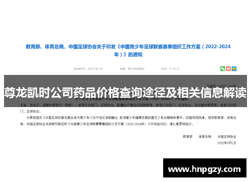 尊龙凯时公司药品价格查询途径及相关信息解读