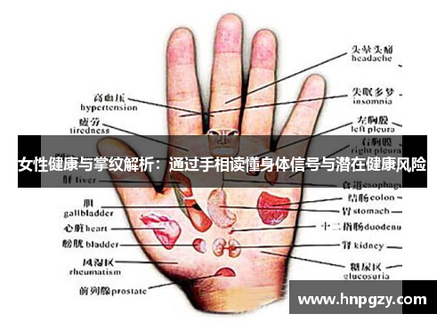 女性健康与掌纹解析:通过手相读懂身体信号与潜在健康风险 女性健康与掌纹解析:通过手相读懂身体信号与潜在健康风险