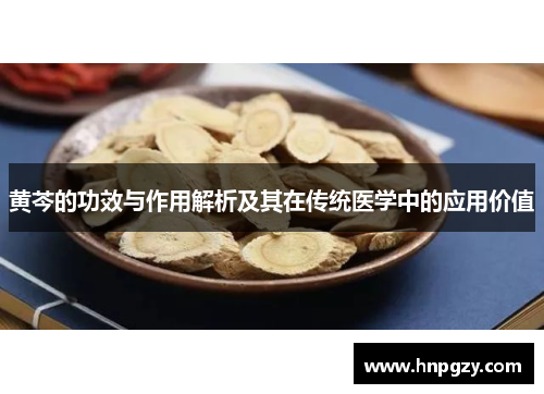 黄芩的功效与作用解析及其在传统医学中的应用价值 黄芩的功效与作用解析及其在传统医学中的应用价值
